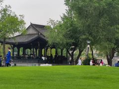-东北农业大学