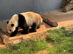 -云南野生动物园