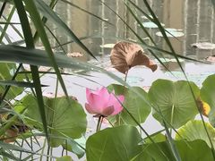 -木塔寺遗址生态公园