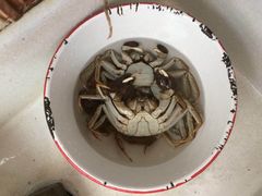 -喜洋洋蟹庄(阳澄湖店)