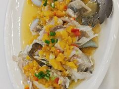 黄椒酱蒸鱼头-渔意楼·驰名沙田乳鸽(五羊店)
