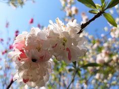 -常德桃花源景区