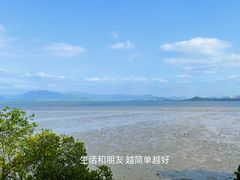 -深圳湾公园(南山区)