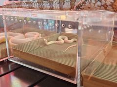 -万达广场(松江店)