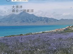 -赛里木湖风景名胜区