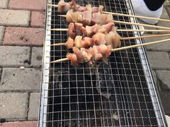 -蒲河岛湿地公园