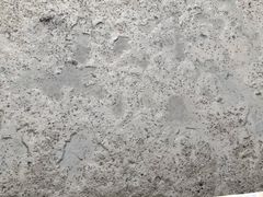 -北海金海湾红树林生态旅游区