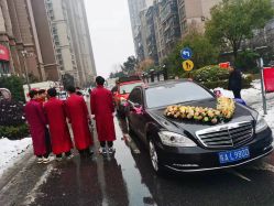 -蚂蚁婚车