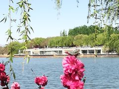 -大兴滨河森林公园