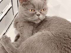 -白夜2D咖啡馆