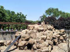 -西安秦岭野生动物园