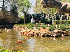 -北京野生动物园