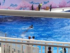 -北戴河圣蓝海洋公园