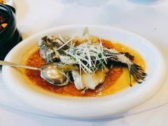 -一品粤珍轩(吴中路店)