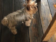 -春风十里咖啡馆