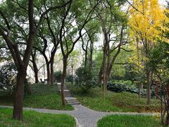 -徐家汇源景区-衡山公园