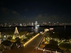 -台场海滨公园船码头