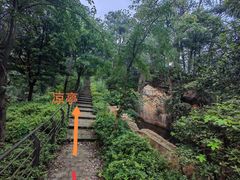 -南山植物园