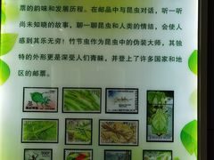 -上海昆虫博物馆