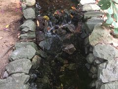 -茂德公草堂