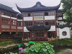 -沈大成(城隍庙店)