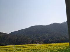 -东海半边山旅游度假区