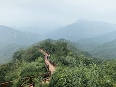 -大岭沟猕猴桃谷风景区
