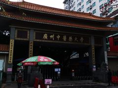 -广州中医药大学第一附属医院(总院)