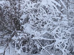 -太子岭滑雪场