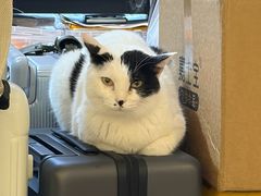 -平行世界·猫咖(首经贸店)