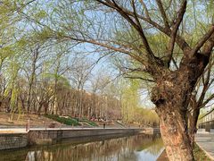 -元大都城垣遗址公园