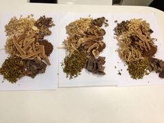 -纳吉亚猫专科动物医院博雅分院
