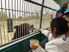 -鄂尔多斯野生动物园