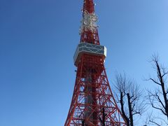 -东京塔海贼王主题公园