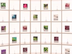 -名创优品(天河区正佳广场二店)