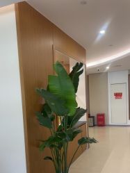 -北京美中宜和北三环妇儿医院