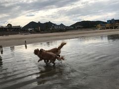 -嵊泗基湖沙滩
