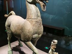 -广西壮族自治区博物馆