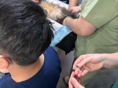 -瑞派宠物医院·犬猫全科·猫友好(宾水西道店)