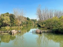 -溱湖国家湿地公园