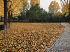 -长安大学(北校区)