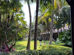 -海南清水湾莱佛士酒店