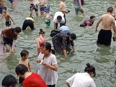 -杨家寨
