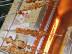 -丰茂烤串(卫星广场店)