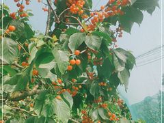 -亮河湾山庄