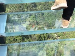 -梦幻奥陶纪景区