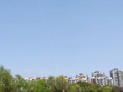 -新江湾城公园