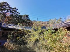 -阳台山自然风景区