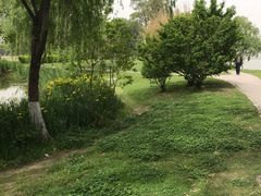 -云龙湖旅游景区