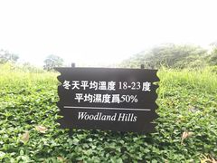 -大屏嶂森林公园
